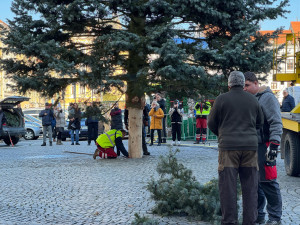 Náměstí Přemysla Otakara II. zdobí od soboty vánoční strom. Do Budějc ho přivezli z Neznašova