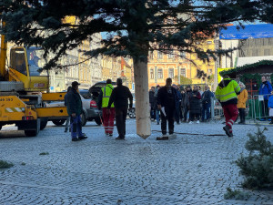 Náměstí Přemysla Otakara II. zdobí od soboty vánoční strom. Do Budějc ho přivezli z Neznašova