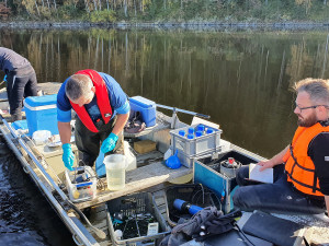 Odbery vzorku Rimov3