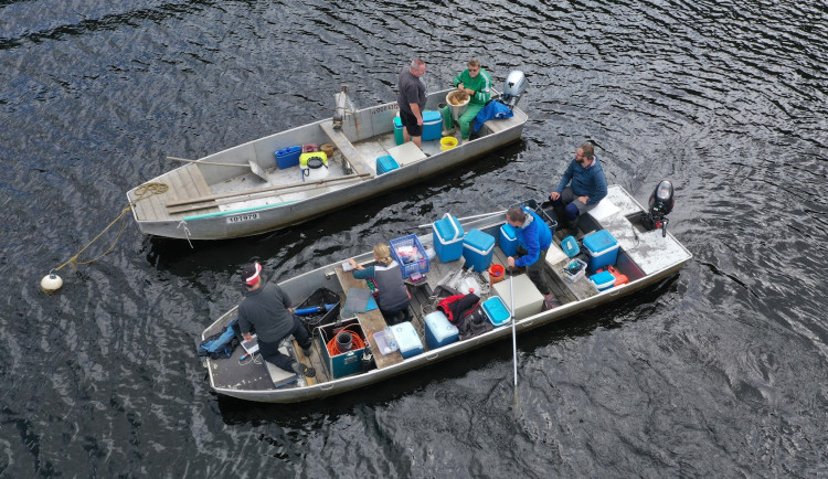 Odbery vzorku Rimov1