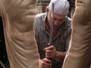 Jihočeské muzeum zve na vánoční výstavu s doprovodným programem