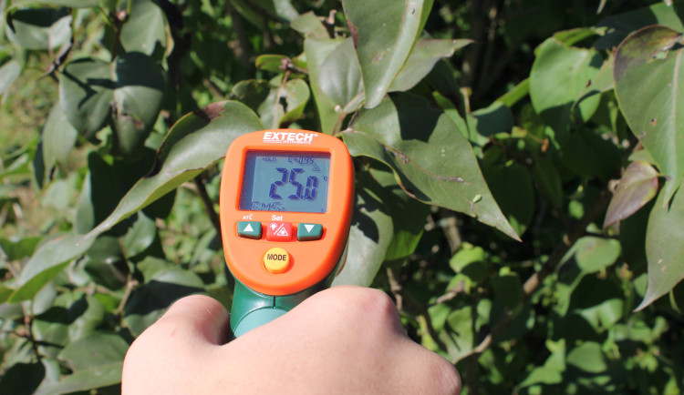 Vzdělávání o vegetaci je nástrojem v boji proti klimatické změně