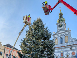 Vánoční jedle na budějovickém náměstí se rozsvítí už tuto sobotu