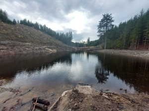 Nová soustava tří tůní má na Jindřichohradecku zadržovat vodu v krajině