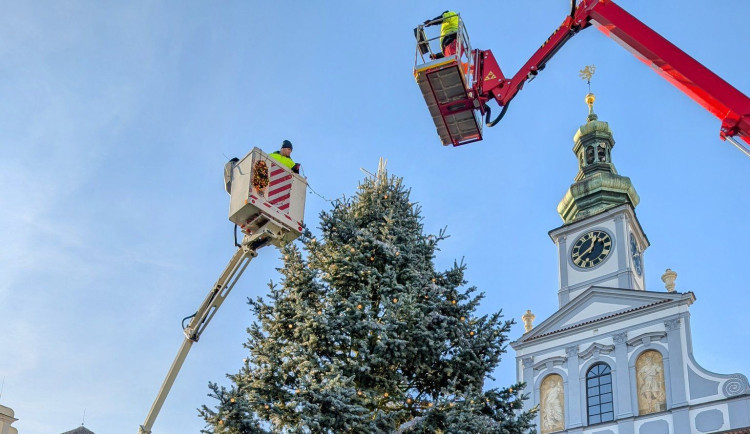 Vánoční jedle na budějovickém náměstí se rozsvítí už tuto sobotu