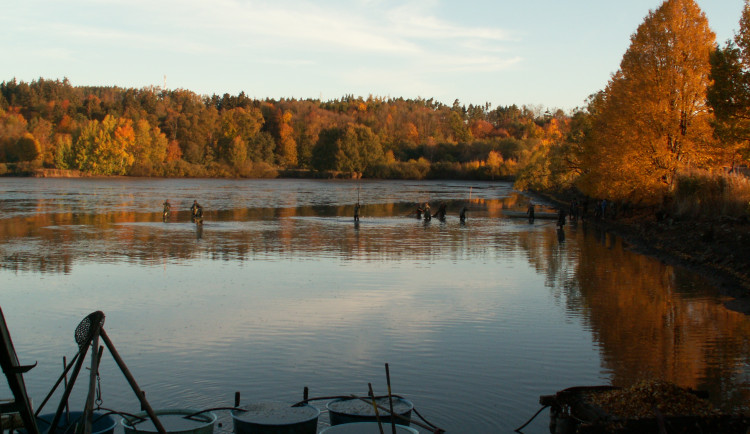 MAS Vodňanská ryba – území krásné přírody