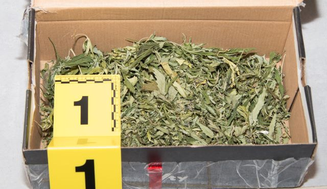 Policisté zadrželi skupinu, která na Táborsku prodávala marihuanu a pervitin