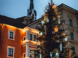 Vánoční strom na krumlovském náměstí Svornosti.