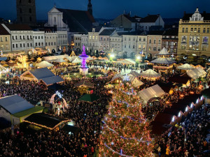 Vánoční strom na budějovickém náměstí Přemysla Otakara II.