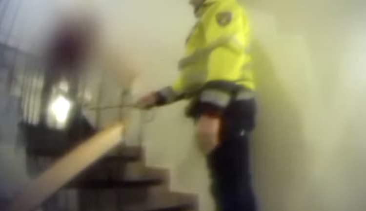 VIDEO: Mladík ukradl psa před obchodem. Strážníci zvíře za několik hodin vrátili dojaté seniorce