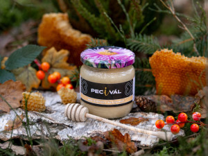 GABRIELA_CIFREUNDOVA