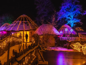 KULTURNÍ TIPY: Motor vyzve Karlovy Vary. Prozkoumejte vánočně nasvícenou zoo