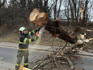 Silný vítr na jihu Čech komplikuje dopravu, hasiči odklízeli 12 popadaných stromů