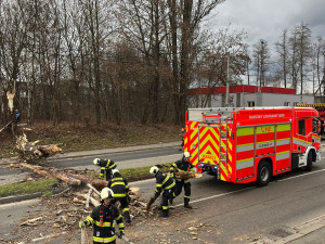 Silný vítr na jihu Čech komplikuje dopravu, hasiči odklízeli 12 popadaných stromů