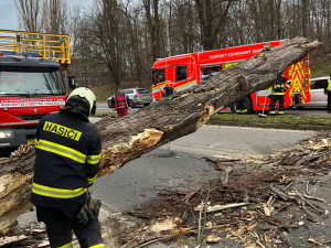 Silný vítr na jihu Čech komplikuje dopravu, hasiči odklízeli 12 popadaných stromů