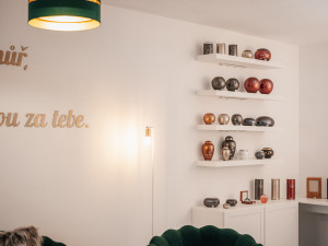 U Budějc funguje nové zvířecí krematorium. Prvním přijatým zvířátkem bylo morče