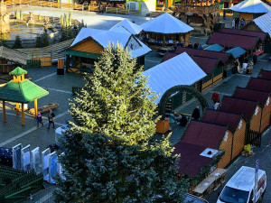 Budějovický vánoční strom dostane druhý život. Vyrobí z něj sochu do adventního městečka