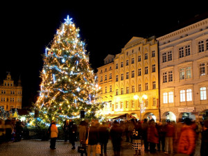 Budějovický vánoční strom dostane druhý život. Vyrobí z něj sochu do adventního městečka