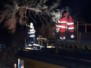 Silný vítr v noci zaměstnal hasiče. Vyjížděli hlavně k popadaným stromům