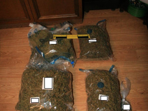 Žádný troškař. Muž měl u sebe šest kilogramů sušené marihuany, skladoval ji v lednici