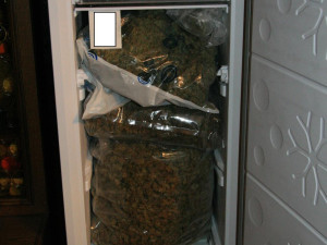 Žádný troškař. Muž měl u sebe šest kilogramů sušené marihuany, skladoval ji v lednici