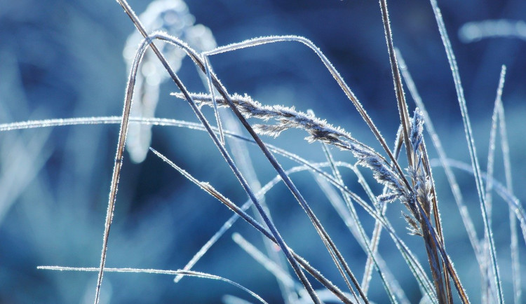 Po chladném začátku týdne se od čtvrtka začne oteplovat