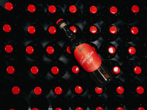 Charitativní ležák sklízel úspěch. Veškerý výtěžek nyní věnuje Budvar na charitu