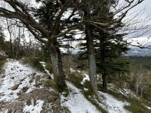 Vypravte se při zimní návštěvě Šumavy na romantickou vyhlídku zamilovaných. Čekají vás úchvatné výhledy i bývalá vojenská hláska
