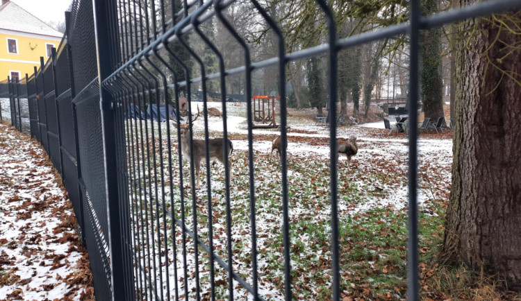 Skládka mrtvých zvířat a šikanování zaměstnanců. Na zámku v Chlumu u Třeboně zasahovala policie