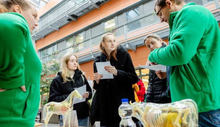 Den otevřených dveří přilákal na Jihočeskou univerzitu stovky návštěvníků a představil nové studijní programy