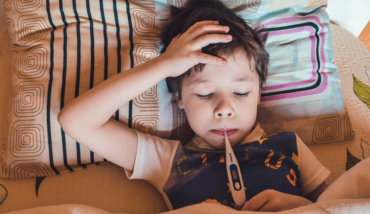 Chřipková epidemie na jihu Čech zesílila. Nejvíce nemocných je na Prahaticku