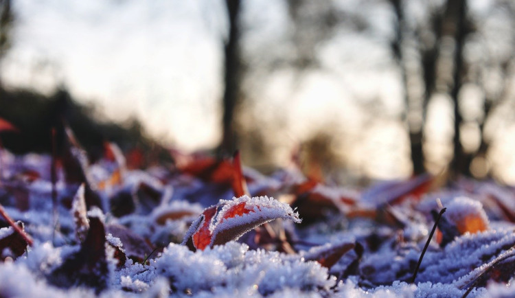Tento týden bude přes den nejvýše 6°C nad nulou, v noci až -9