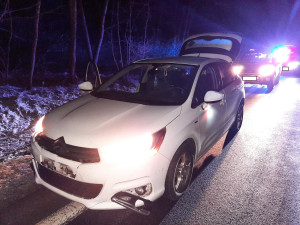 Muž na Prachaticku srazil vlka, zvíře střet nepřežilo