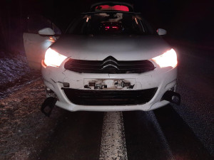 Muž na Prachaticku srazil vlka, zvíře střet nepřežilo