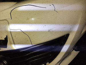 Muž na Prachaticku srazil vlka, zvíře střet nepřežilo