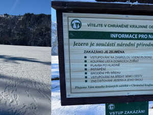 Návštěvníci Šumavy masivně vstupují na plochu zamrzlých jezer. Porušují tak zákon a riskují tučnou pokutu