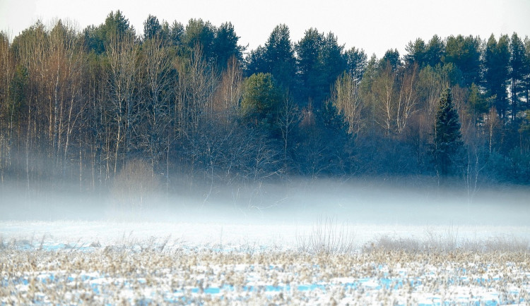 O víkendu bude v Česku sníh a mráz, v noci může být až -13°C