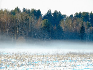 O víkendu bude v Česku sníh a mráz, v noci může být až -13°C