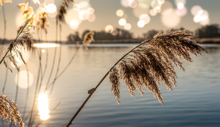 Nebe se v Česku v týdnu zatáhne, přes den bude i kolem deseti stupňů Celsia