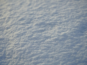 Letošní únor bude v Česku srážkově nejchudší za poslední desetiletí