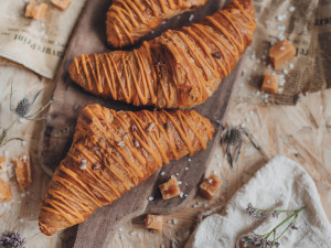 GABRIELA_CIFREUNDOVA