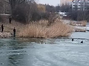 Tonoucí chlapce vytáhli z mrznoucí vody náhodní kolemjdoucí, jedním z nich byl táborský řidič záchranné služby