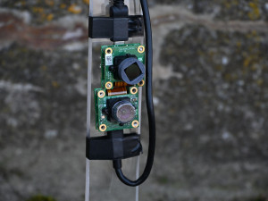 Chytrý rybí přechod sleduje v Písku migraci ryb,  je první svého druhu v Česku