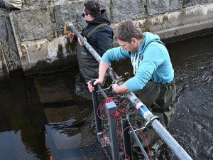 Chytrý rybí přechod sleduje v Písku migraci ryb,  je první svého druhu v Česku