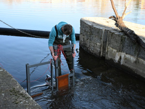 Chytrý rybí přechod sleduje v Písku migraci ryb,  je první svého druhu v Česku