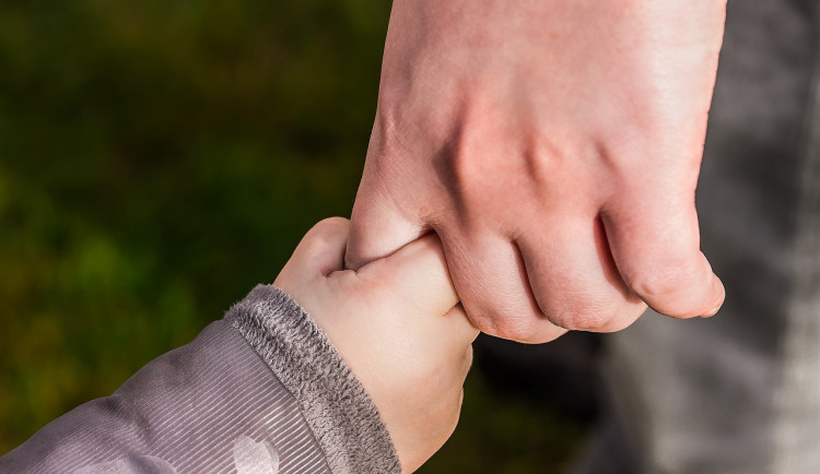 S příchodem jara mohou kromě květin lidé zasadit i pomoc. Sbírka pomůže obětem domácího násilí