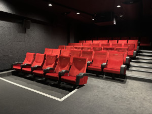 Třetí nejmenší kino v republice rozšířilo budějovickou kulturní nabídku, sídlí na Lidické a má 41 sedadel