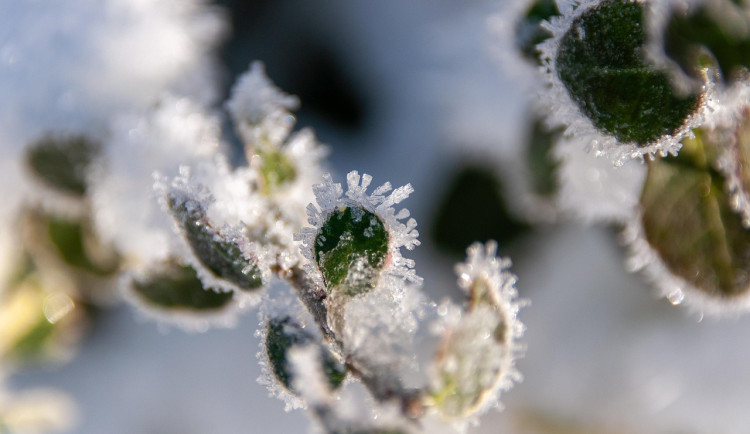 Na jihu Čech ráno silně mrzlo, u Kvildy bylo minus 19,7 stupně Celsia