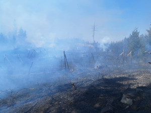 U Budíškovic hoří několik hektarů lesa. Požár vznikl při pálení dřeva