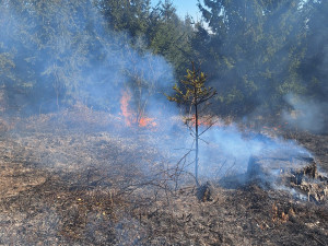 U Budíškovic hoří několik hektarů lesa. Požár vznikl při pálení dřeva